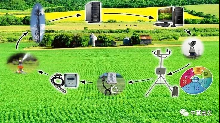 无线传感器网络在精准农业的应用