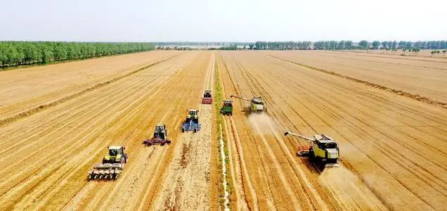 《“十四五”推进农业农村现代化规划》发布，引爆农业现代化！